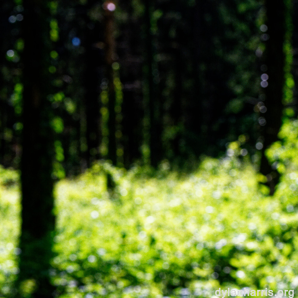 image: esch gaalgebierg