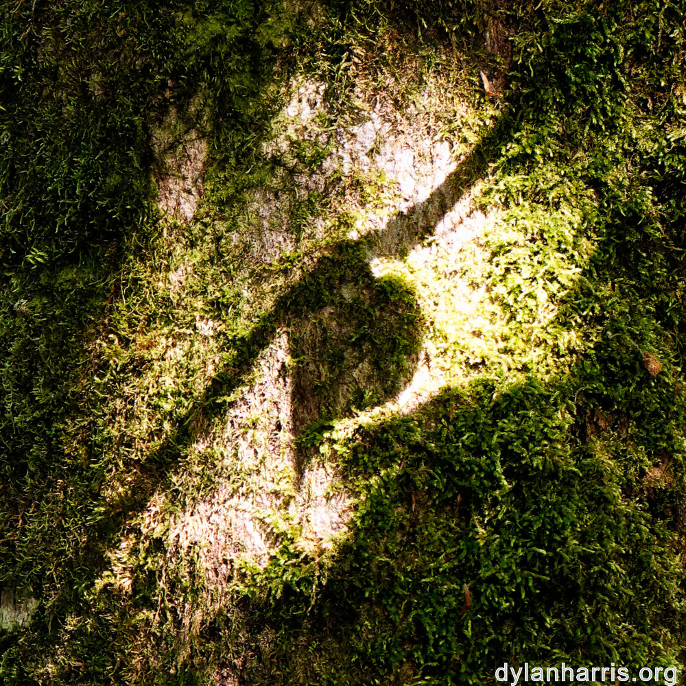 image: This is ‘
kayl 8
’.