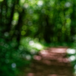 image: Image from the photoset ‘
kayl (ii)
’.