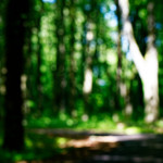 image: Image from the photoset ‘
kayl (ii)
’.