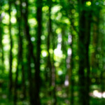 image: Image from the photoset ‘
kayl (ii)
’.