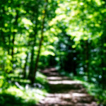 image: Image from the photoset ‘
kayl (ii)
’.