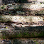 image: Image from the photoset ‘
kayl (ii)
’.