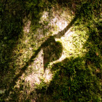 image: Image from the photoset ‘
kayl (ii)
’.