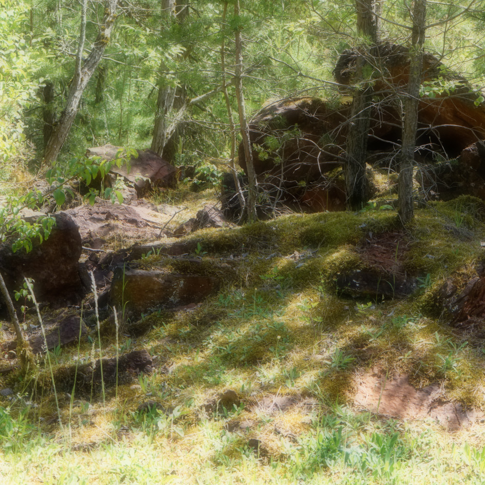 image: This is ‘
kayl 2
’.