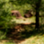 image: Image from the photoset ‘
kayl (iii)
’.