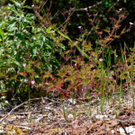 image: Image from the photoset ‘
kayl (iii)
’.