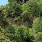 image: Image from the photoset ‘
kayl (iii)
’.