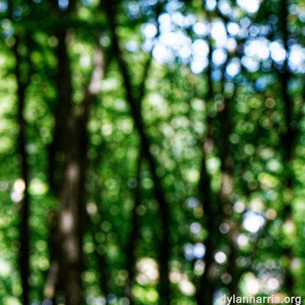 image: This is ‘
rumelange 3
’.