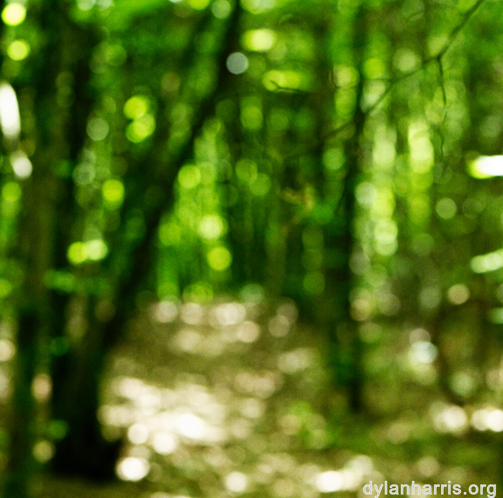 image: This is ‘
rumelange 4
’.