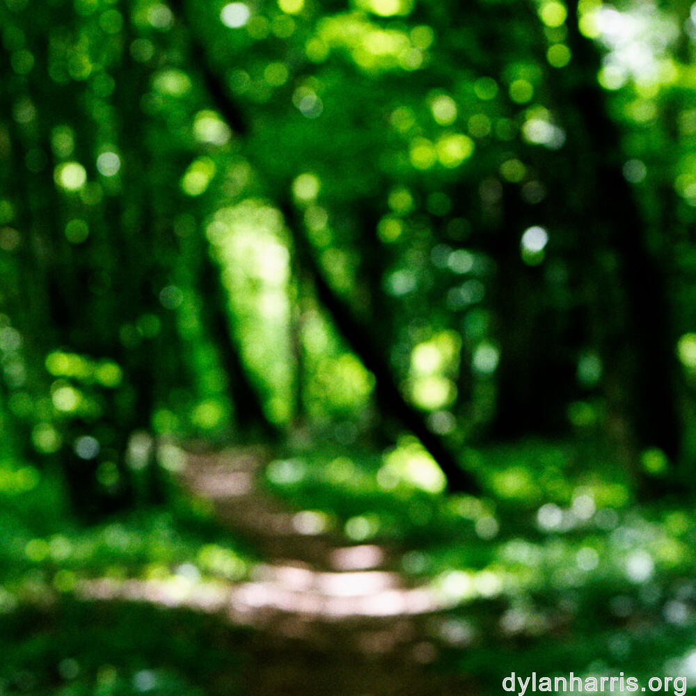 image: This is ‘
rumelange 5
’.