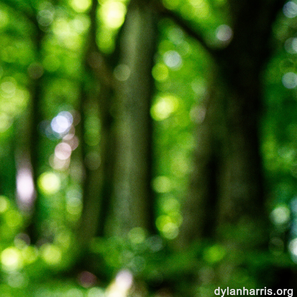 image: This is ‘
rumelange 6
’.