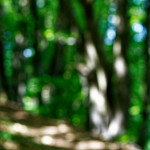 image: Image from the photoset ‘
rumelange (i)
’.