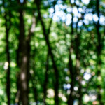 image: Image from the photoset ‘
rumelange (i)
’.