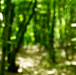 image: Image from the photoset ‘
rumelange (i)
’.