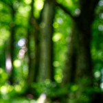 image: Image from the photoset ‘
rumelange (i)
’.