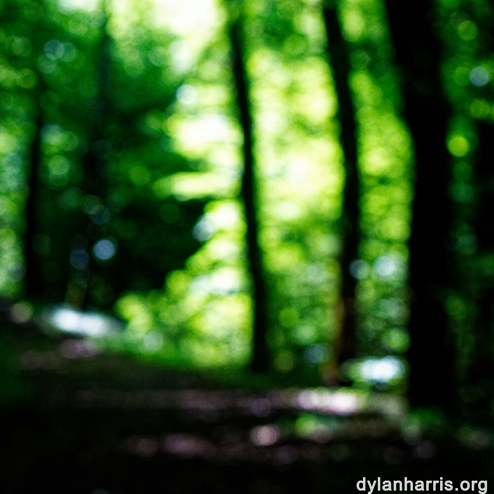 image: This is ‘
rumelange 4
’.