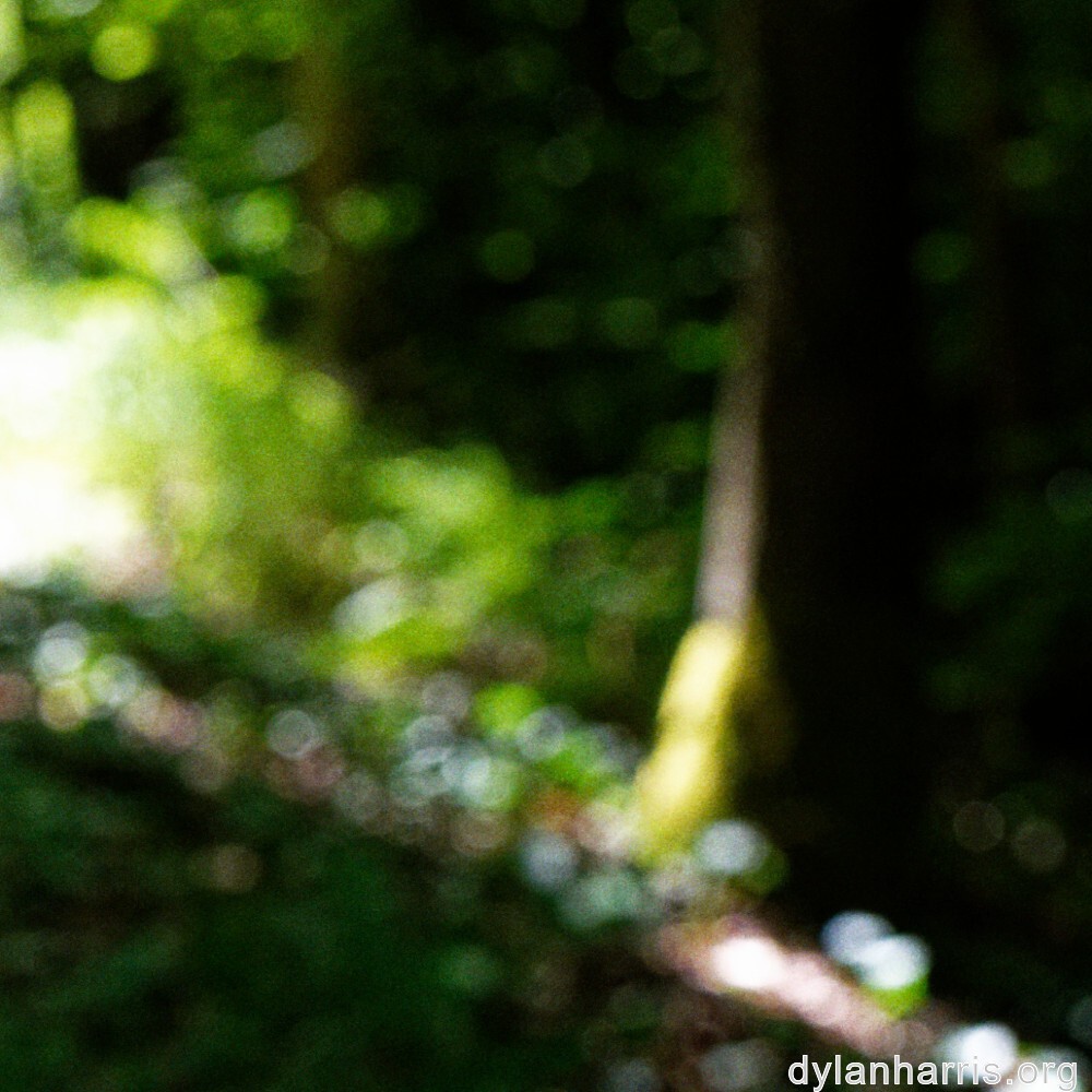 image: This is ‘
rumelange 5
’.