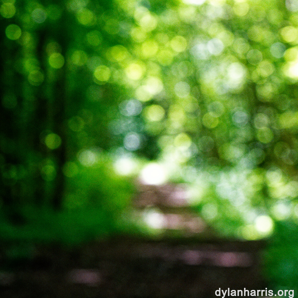 image: This is ‘
rumelange 6
’.