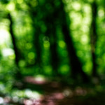 image: Image from the photoset ‘
rumelange (ii)
’.