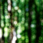 image: Image from the photoset ‘
rumelange (ii)
’.