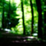 image: Image from the photoset ‘
rumelange (ii)
’.