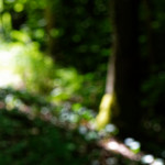 image: Image from the photoset ‘
rumelange (ii)
’.