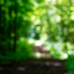 image: Image from the photoset ‘
rumelange (ii)
’.