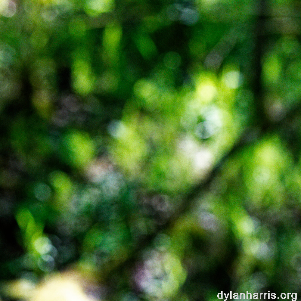 image: This is ‘
rumelange 1
’.