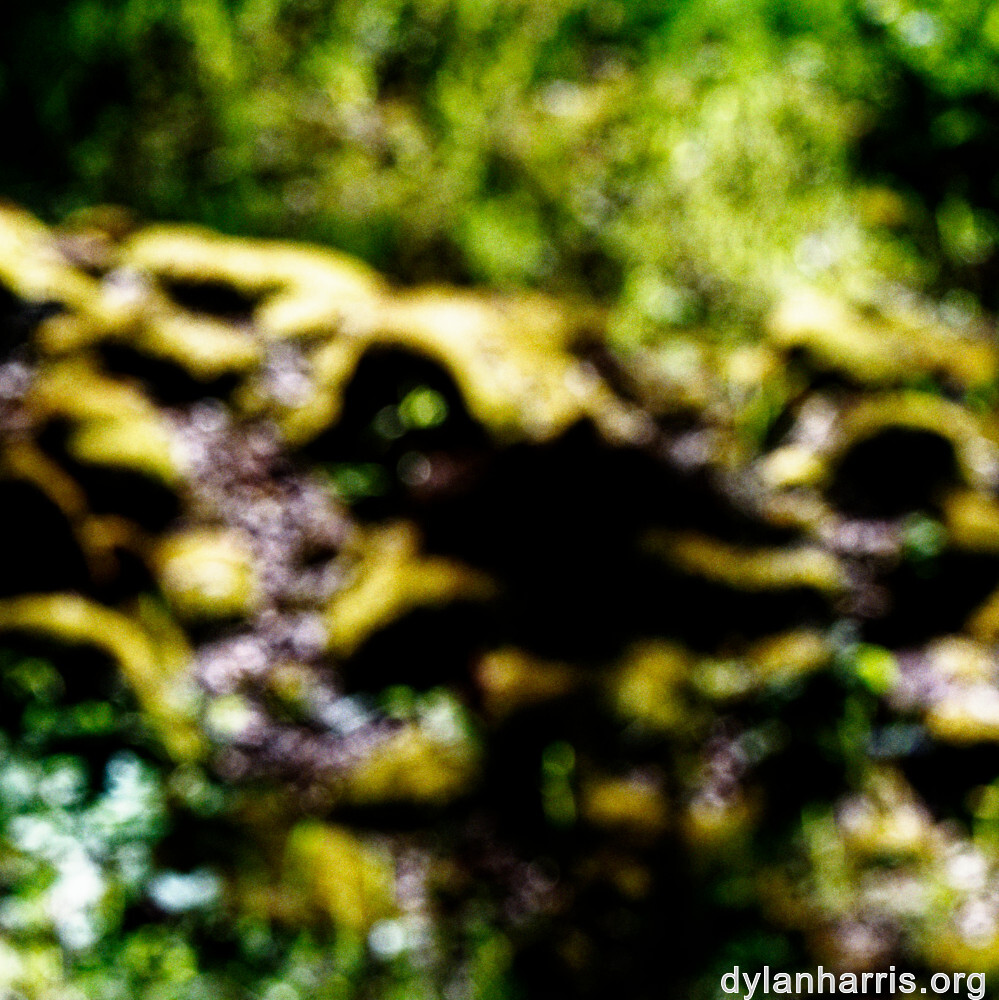 image: This is ‘
rumelange 2
’.