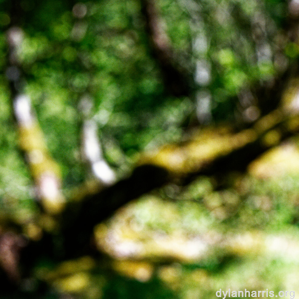 image: This is ‘
rumelange 4
’.