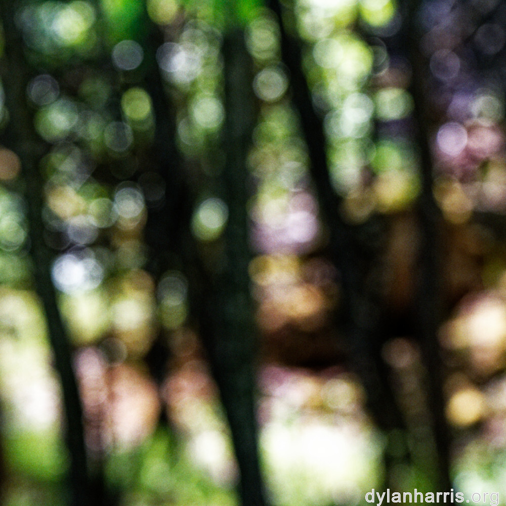 image: This is ‘
rumelange 5
’.