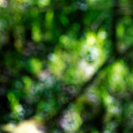 image: Image from the photoset ‘
rumelange (iii)
’.