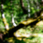 image: Image from the photoset ‘
rumelange (iii)
’.