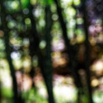 image: Image from the photoset ‘
rumelange (iii)
’.