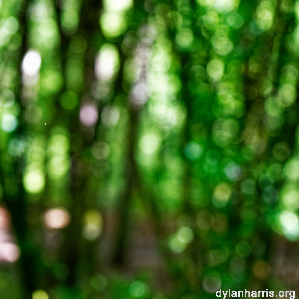 image: This is ‘
rumelange 1
’.