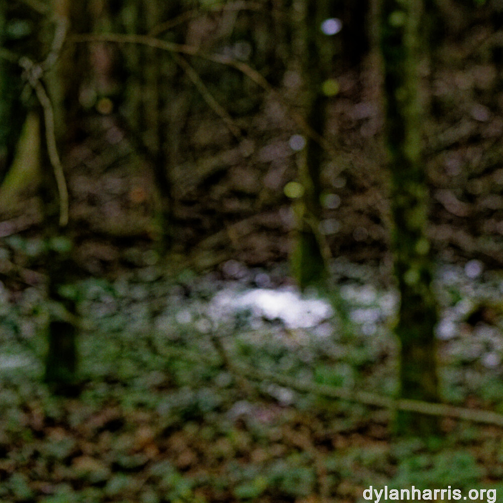 image: This is ‘
rumelange 2
’.