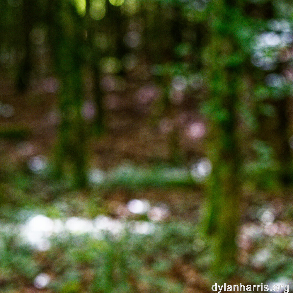 image: This is ‘
rumelange 3
’.