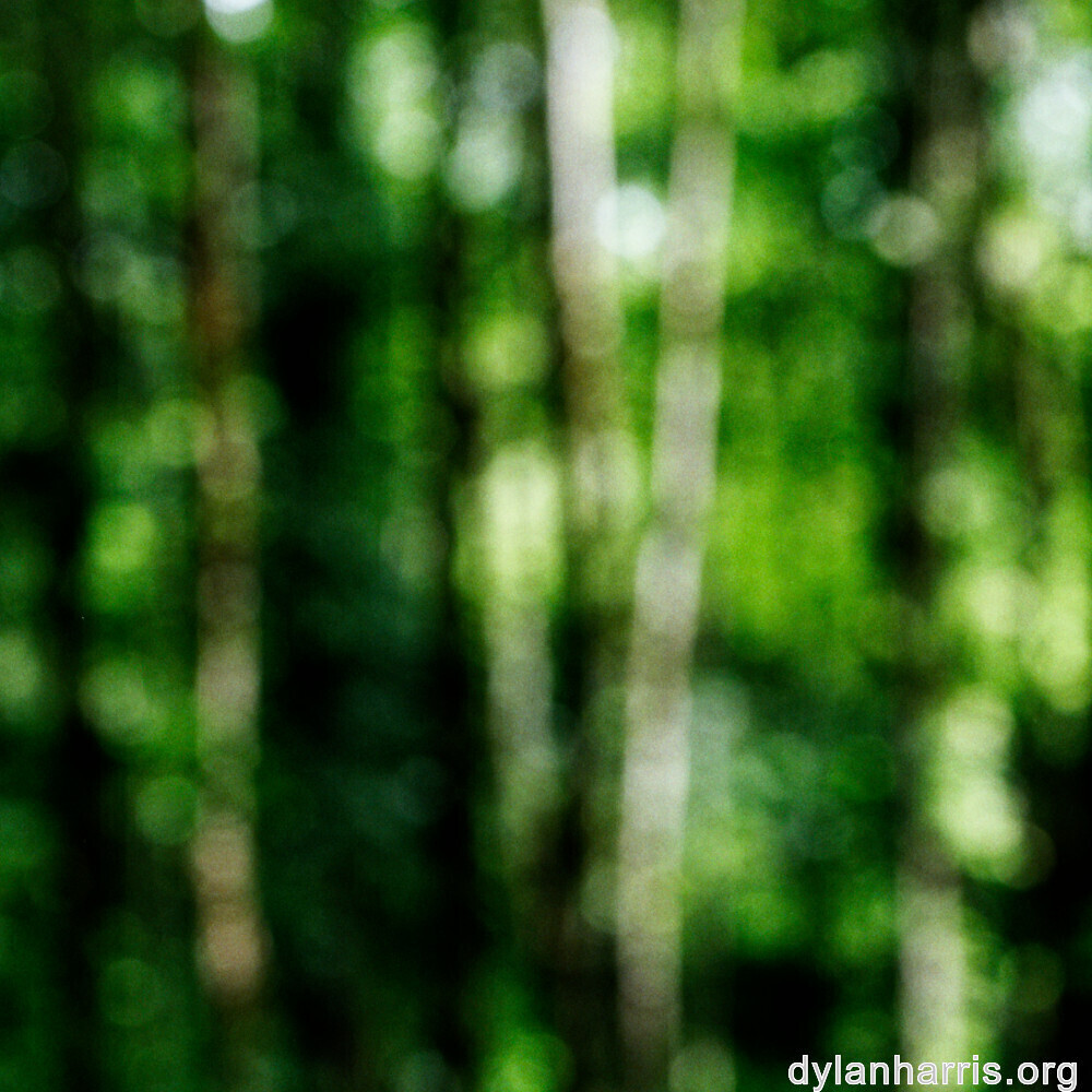 image: This is ‘
rumelange 4
’.