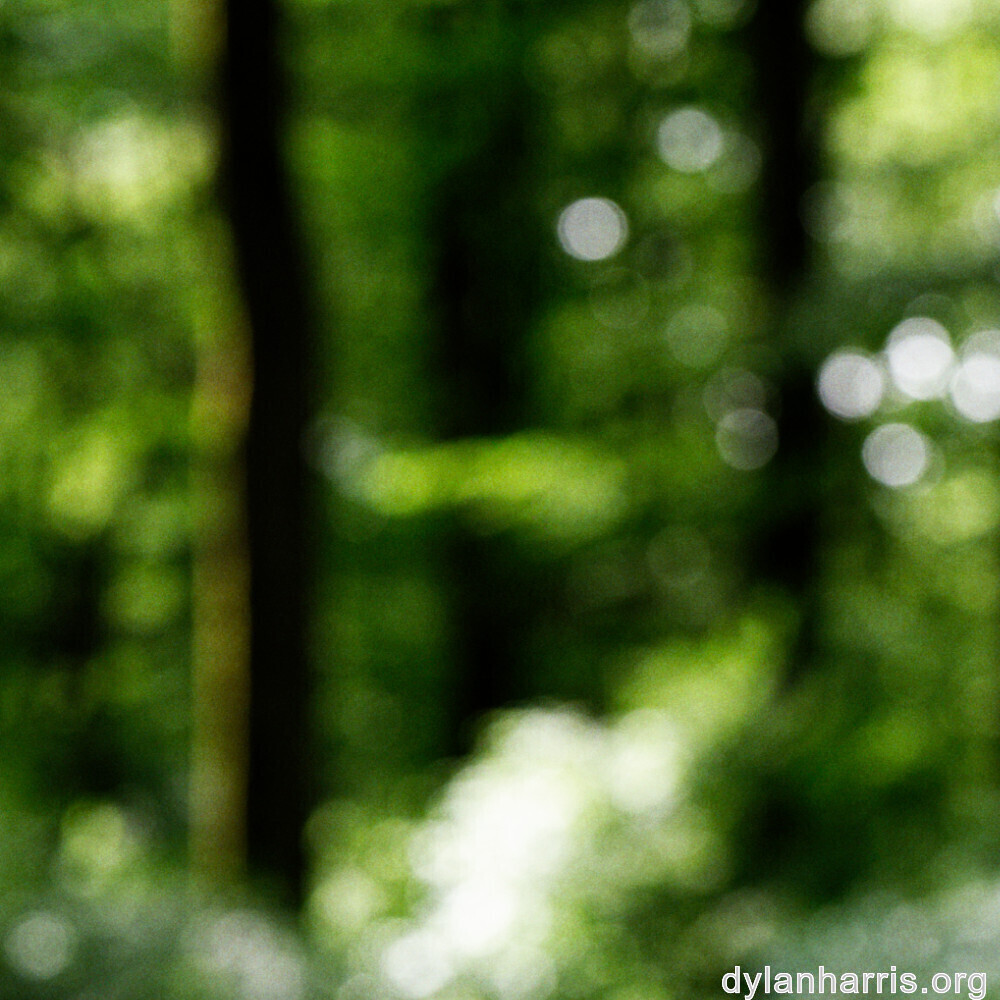 image: This is ‘
rumelange 5
’.