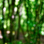 image: Image from the photoset ‘
rumelange (iv)
’.