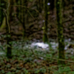 image: Image from the photoset ‘
rumelange (iv)
’.