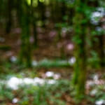 image: Image from the photoset ‘
rumelange (iv)
’.