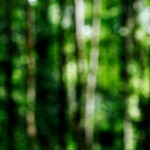 image: Image from the photoset ‘
rumelange (iv)
’.