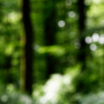 image: Image from the photoset ‘
rumelange (iv)
’.