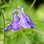 image: Image from the photoset ‘
rumelange (iv)
’.