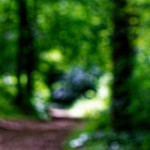 image: Image from the photoset ‘
rumelange (iv)
’.