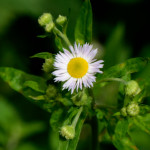 image: Image from the photoset ‘
rumelange (iv)
’.