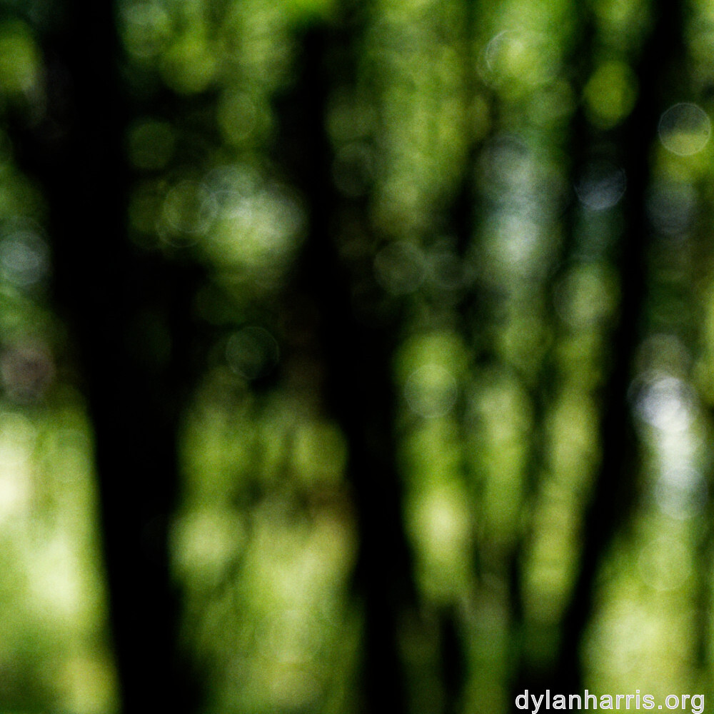 image: This is ‘
rumelange 2
’.