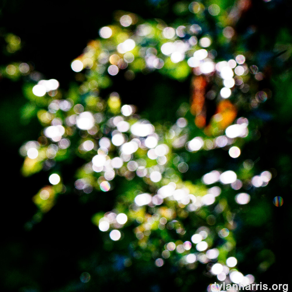 image: This is ‘
rumelange 3
’.